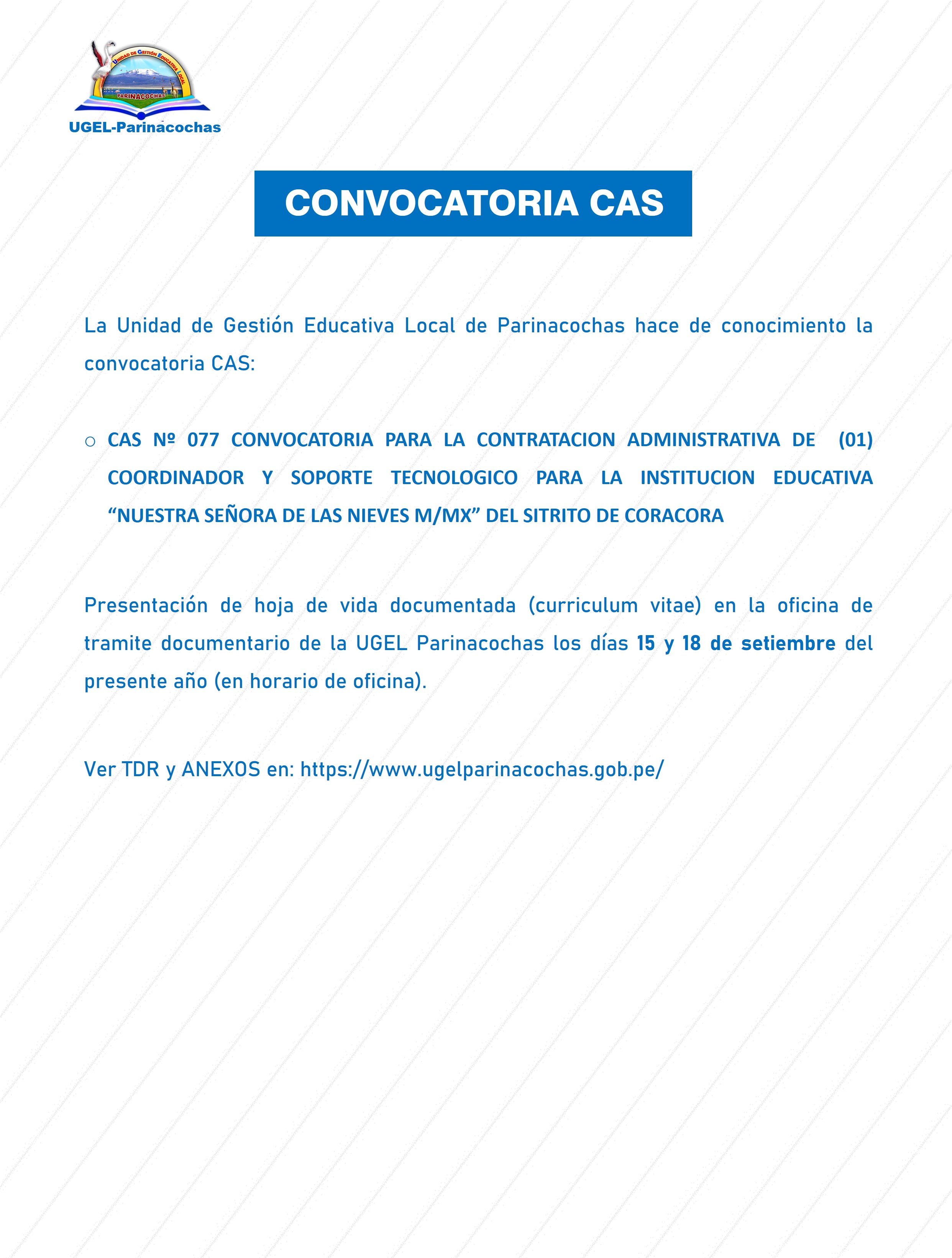 CAS Nº 077 CONVOCATORIA PARA LA CONTRATACION ADMINISTRATIVA DE  (01) COORDINADOR Y SOPORTE TECNOLOGICO PARA LA INSTITUCION EDUCATIVA “NUESTRA SEÑORA DE LAS NIEVES M/MX” DEL SITRITO DE CORACORA